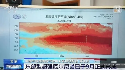 体育品牌电竞，美高梅娱乐下载，合作，联名款新品上市